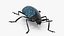 Blue Pleasing Fungus Beetle Rigged Fur