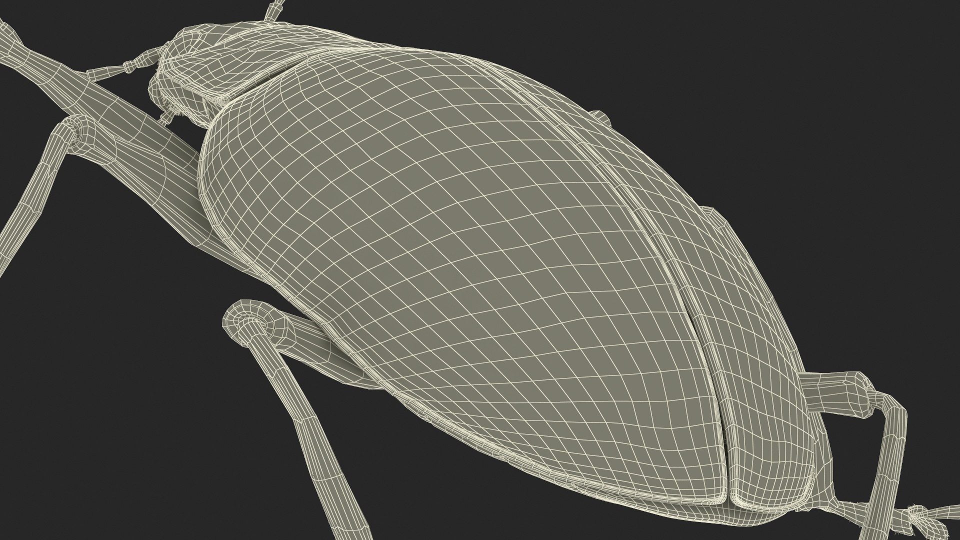 Blue Pleasing Fungus Beetle Rigged Fur 3D model https://p.turbosquid.com/ts-thumb/hk/TNGqgV/kG/bluepleasingfungusbeetleriggedfur3dmodel037/jpg/1724156873/1920x1080/fit_q87/1ff06fde1f3b0f0ab05167f751786fd9cdee9fe7/bluepleasingfungusbeetleriggedfur3dmodel037.jpg