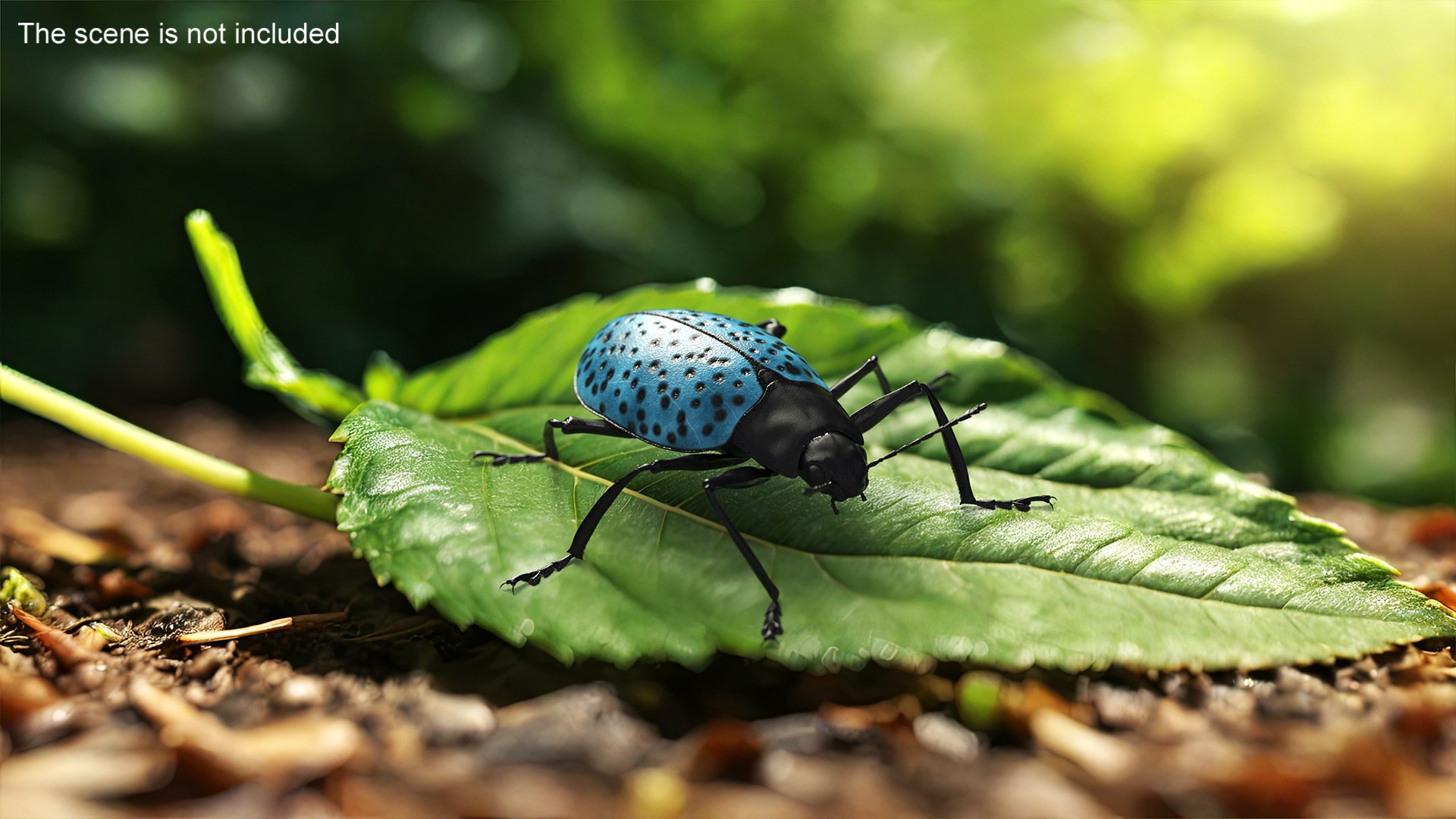 Blue Pleasing Fungus Beetle Rigged Fur 3D model https://p.turbosquid.com/ts-thumb/hk/TNGqgV/lq/bluepleasingfungusbeetleriggedfur3dmodel008/jpg/1724156735/1920x1080/fit_q87/5363829e77378d51c4a9d565181dbbc23217da04/bluepleasingfungusbeetleriggedfur3dmodel008.jpg