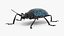 Blue Pleasing Fungus Beetle Rigged Fur 3D model