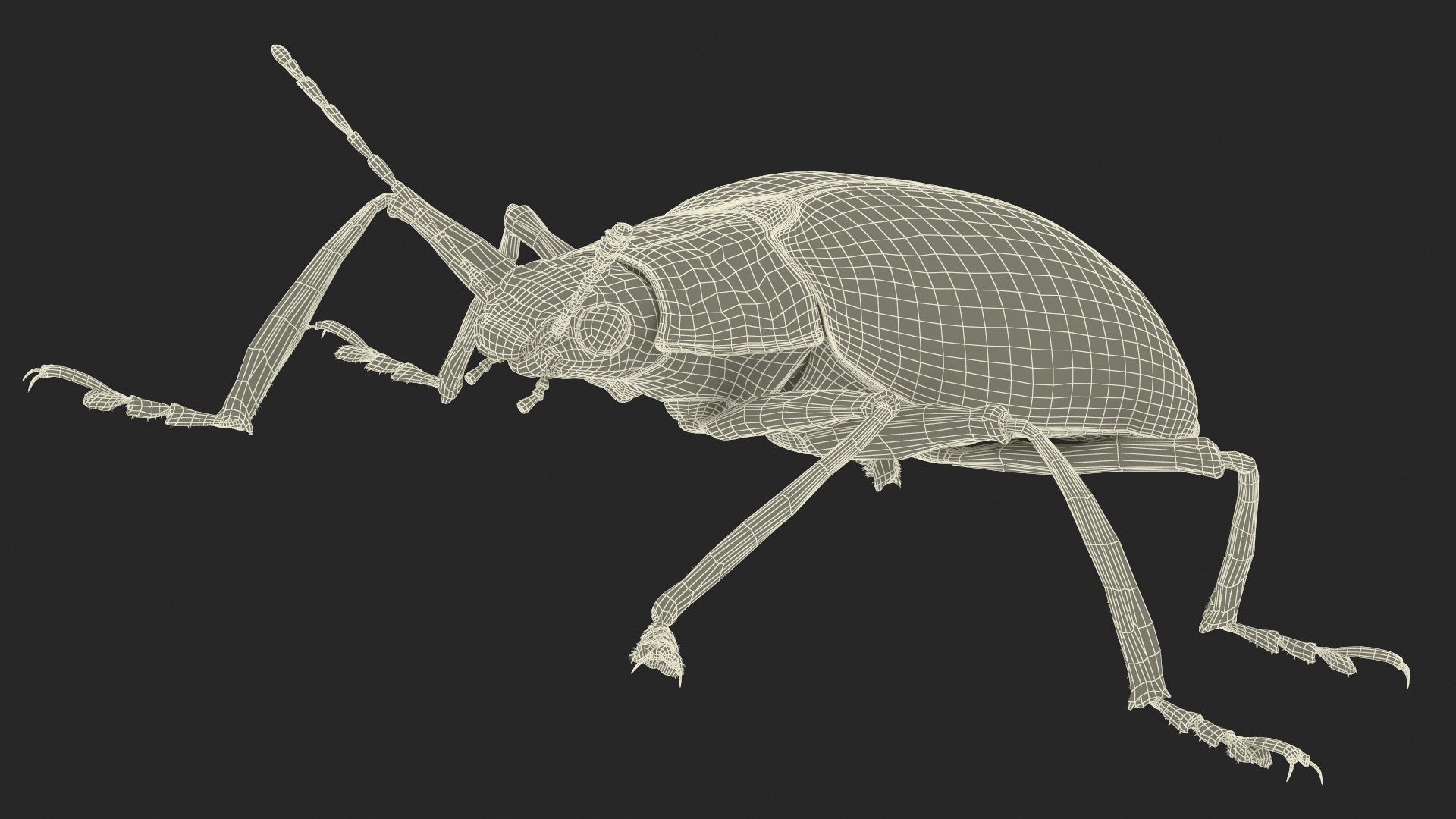 Blue Pleasing Fungus Beetle Rigged Fur 3D model https://p.turbosquid.com/ts-thumb/hk/TNGqgV/oO/bluepleasingfungusbeetleriggedfur3dmodel029/jpg/1724156833/1920x1080/fit_q87/d039928b86220bcafee5c082f97aee64d410ea32/bluepleasingfungusbeetleriggedfur3dmodel029.jpg