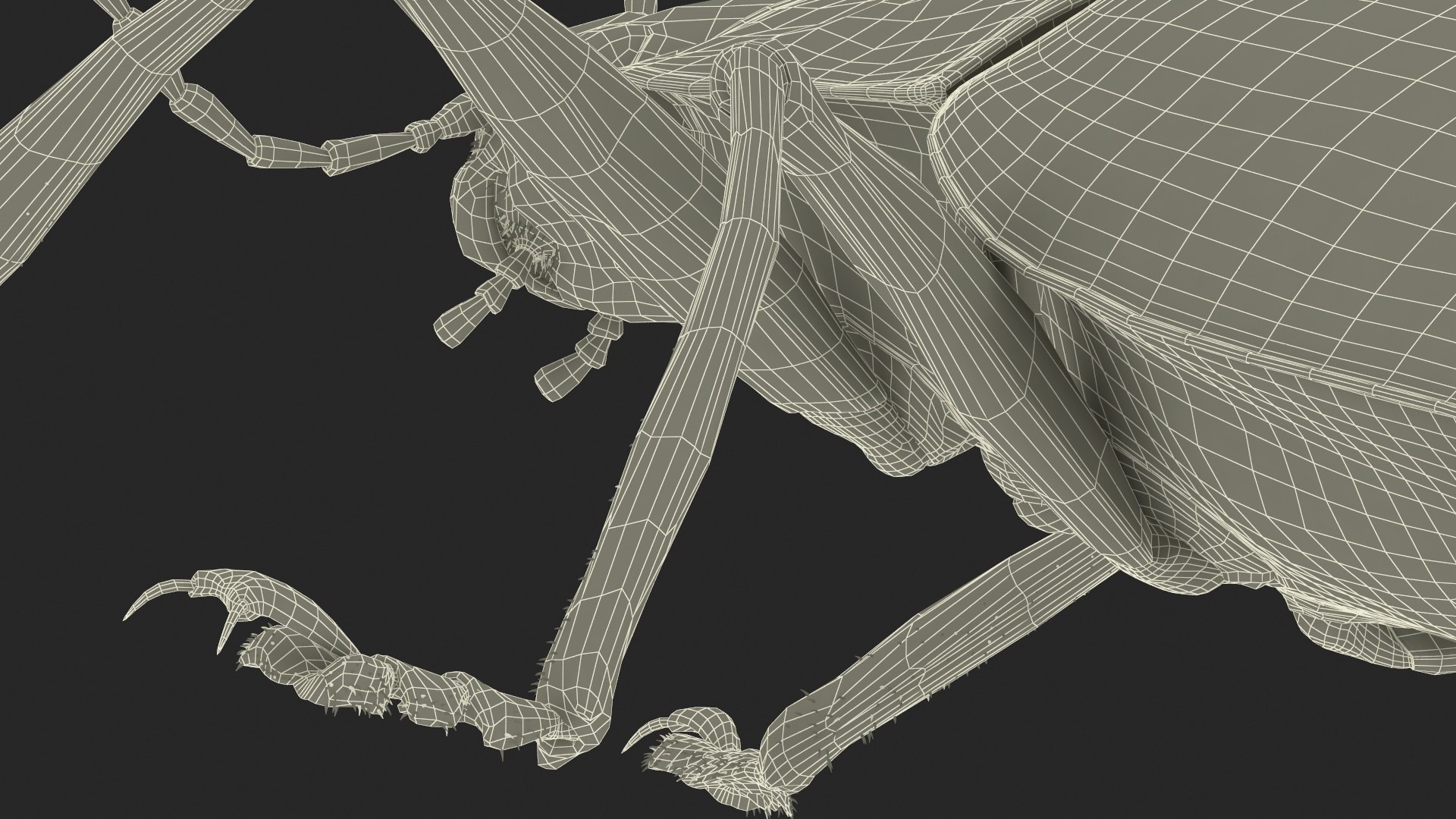 Blue Pleasing Fungus Beetle Rigged Fur 3D model https://p.turbosquid.com/ts-thumb/hk/TNGqgV/os/bluepleasingfungusbeetleriggedfur3dmodel032/jpg/1724156848/1920x1080/fit_q87/c63e3c58138120204b584751e4bb8d2e3601e0cb/bluepleasingfungusbeetleriggedfur3dmodel032.jpg