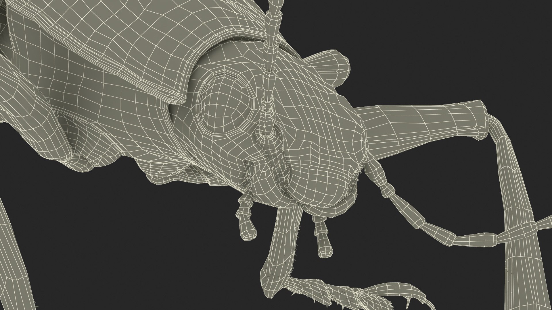 Blue Pleasing Fungus Beetle Rigged Fur 3D model https://p.turbosquid.com/ts-thumb/hk/TNGqgV/q7/bluepleasingfungusbeetleriggedfur3dmodel030/jpg/1724156838/1920x1080/fit_q87/3d8cb11a76f343c46331123c0614ced2dfa9e88b/bluepleasingfungusbeetleriggedfur3dmodel030.jpg