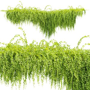 Hanging Creeper Plants  Collection Vol 282-Blender-3dmodel model