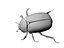 Scarab