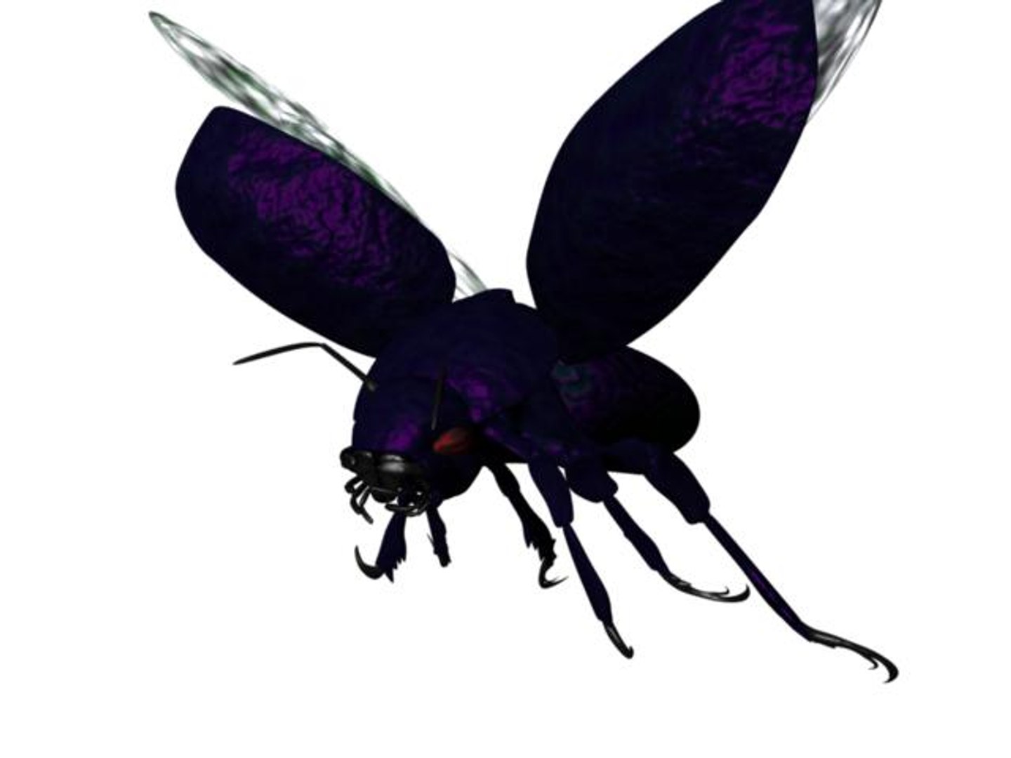 3d scarab beetle https://p.turbosquid.com/ts-thumb/hk/WD8osC/poGmpX4i/scarab1/jpg/1209418903/1920x1080/fit_q87/c533f2a6d79164c4d12f1cd37ccb4e6213219649/scarab1.jpg