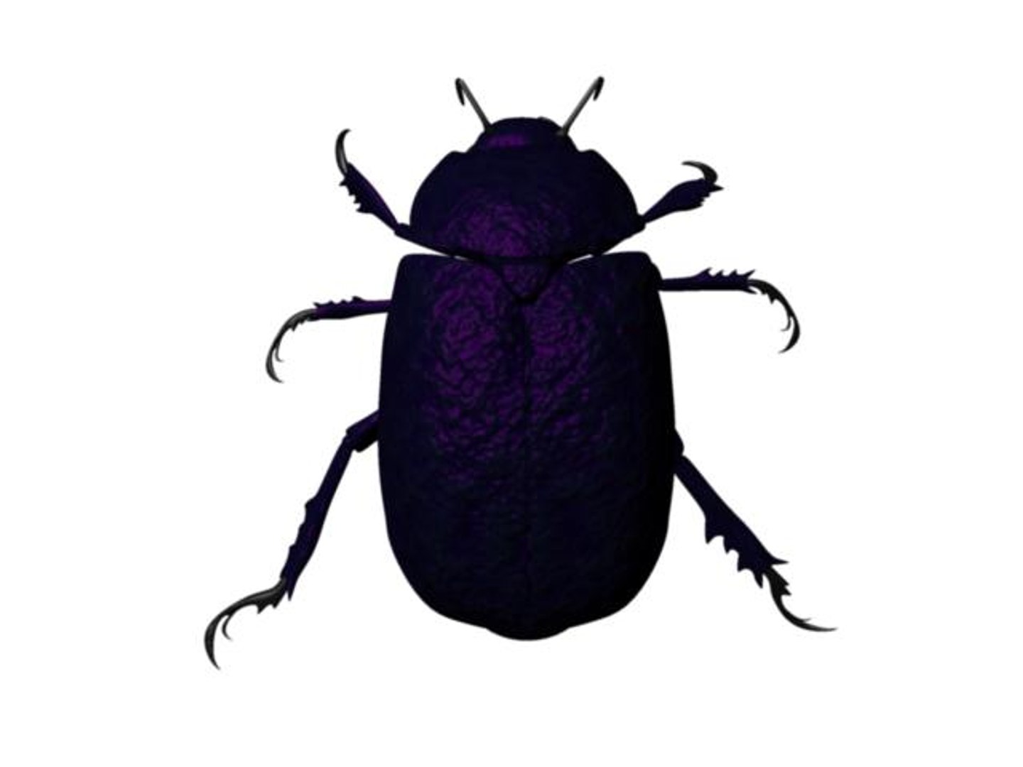 3d scarab beetle https://p.turbosquid.com/ts-thumb/hk/WD8osC/xQcWOCbv/scarab8/jpg/1209418933/1920x1080/fit_q87/f21e7a7cd78b41366c72435a30108b9b2749e08e/scarab8.jpg