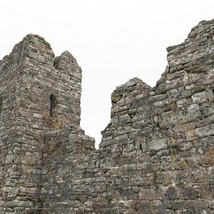Ruins castle
