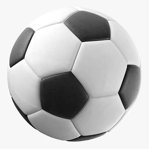 Generic Black and White Soccer Ball