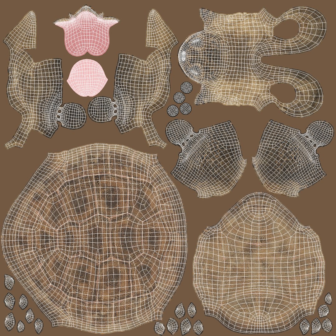 Dirty Old Giant Turtle Stand Pose model https://p.turbosquid.com/ts-thumb/hk/noW5Gx/Kr/dirtyoldgiantturtlestandpose3dmodel019/jpg/1692427527/1920x1080/fit_q87/385ae379520d729188f8407780fd0cedd787c854/dirtyoldgiantturtlestandpose3dmodel019.jpg