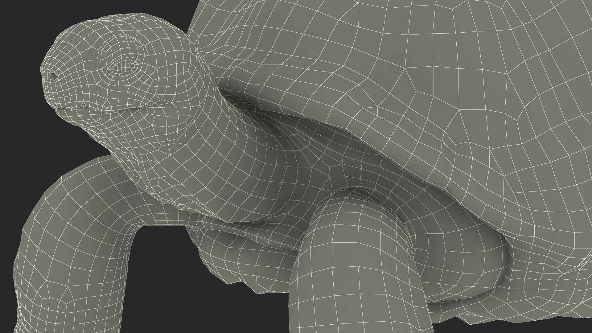Dirty Old Giant Turtle Stand Pose model https://p.turbosquid.com/ts-thumb/hk/noW5Gx/LK/dirtyoldgiantturtlestandpose3dmodel029/jpg/1692427558/1920x1080/fit_q87/e49234e2aff0323c1dd0c9707ede9f7e2580cdb9/dirtyoldgiantturtlestandpose3dmodel029.jpg