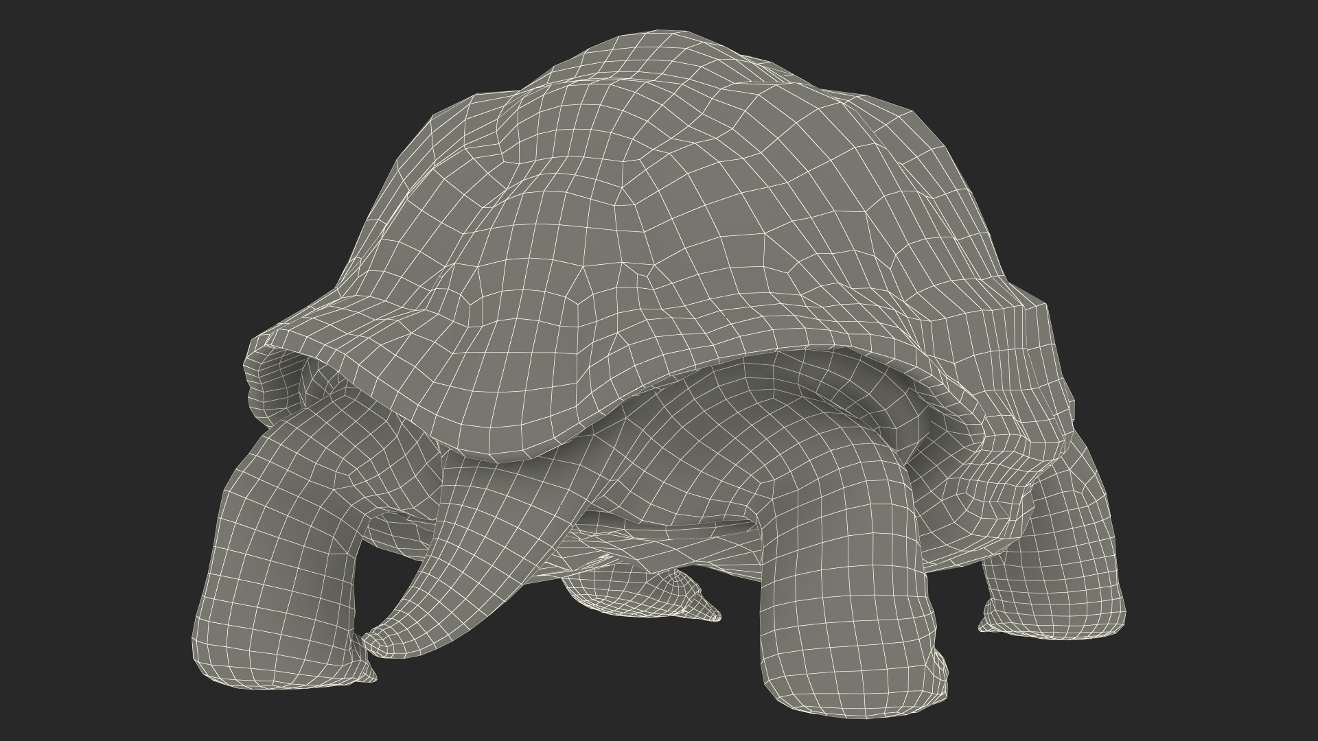 Dirty Old Giant Turtle Stand Pose model https://p.turbosquid.com/ts-thumb/hk/noW5Gx/NE/dirtyoldgiantturtlestandpose3dmodel027/jpg/1692427552/1920x1080/fit_q87/3bfb3969a07b2662c7e83e7a3e07010491b3278b/dirtyoldgiantturtlestandpose3dmodel027.jpg
