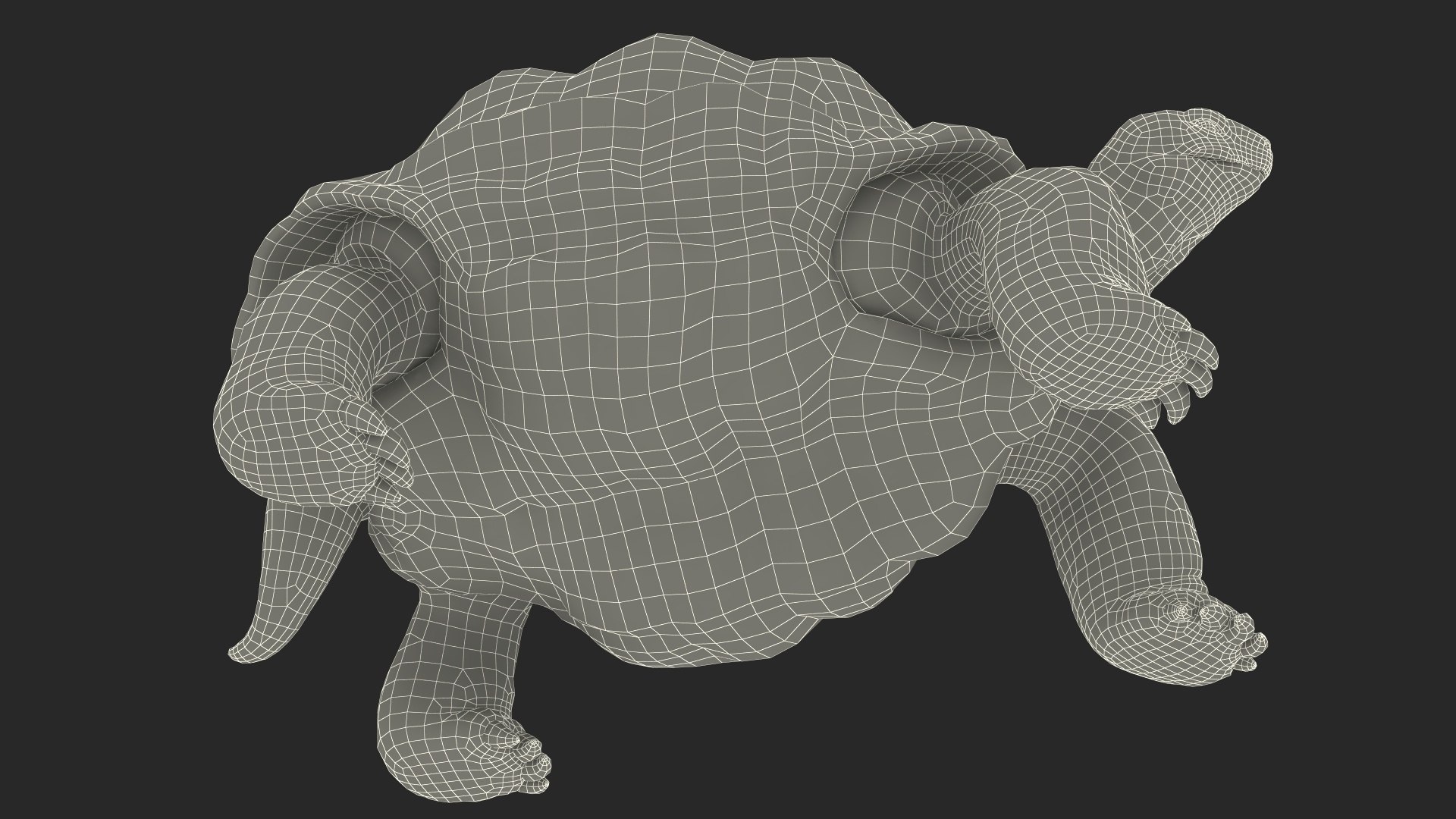 Dirty Old Giant Turtle Stand Pose model https://p.turbosquid.com/ts-thumb/hk/noW5Gx/Z7/dirtyoldgiantturtlestandpose3dmodel028/jpg/1692427555/1920x1080/fit_q87/89e0d90fb56eeb470f7f1af26d9303081aac985a/dirtyoldgiantturtlestandpose3dmodel028.jpg