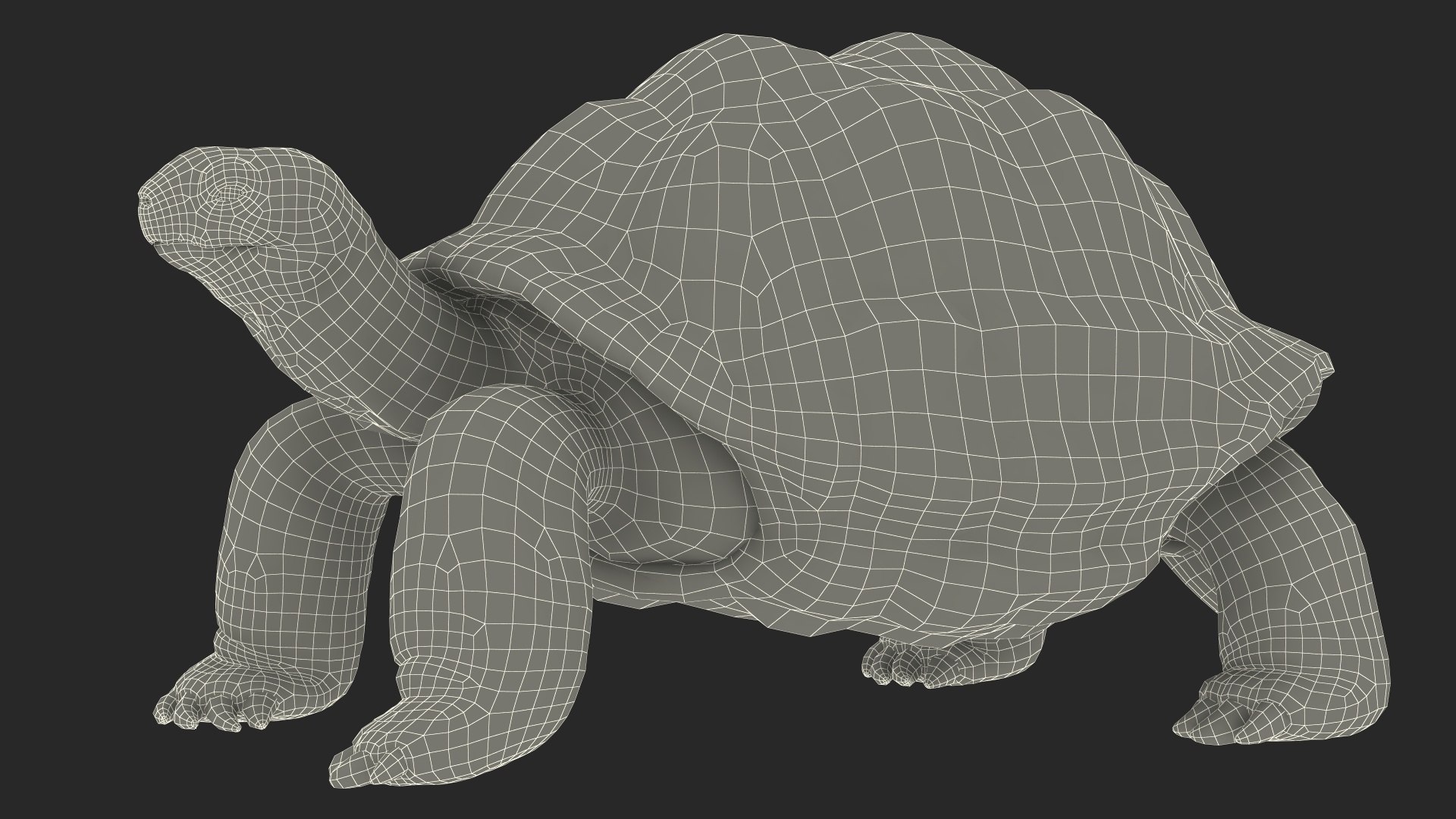 Dirty Old Giant Turtle Stand Pose model https://p.turbosquid.com/ts-thumb/hk/noW5Gx/kB/dirtyoldgiantturtlestandpose3dmodel026/jpg/1692427548/1920x1080/fit_q87/6a81a7fc337dac13857c7dddbce62e49db0779d3/dirtyoldgiantturtlestandpose3dmodel026.jpg