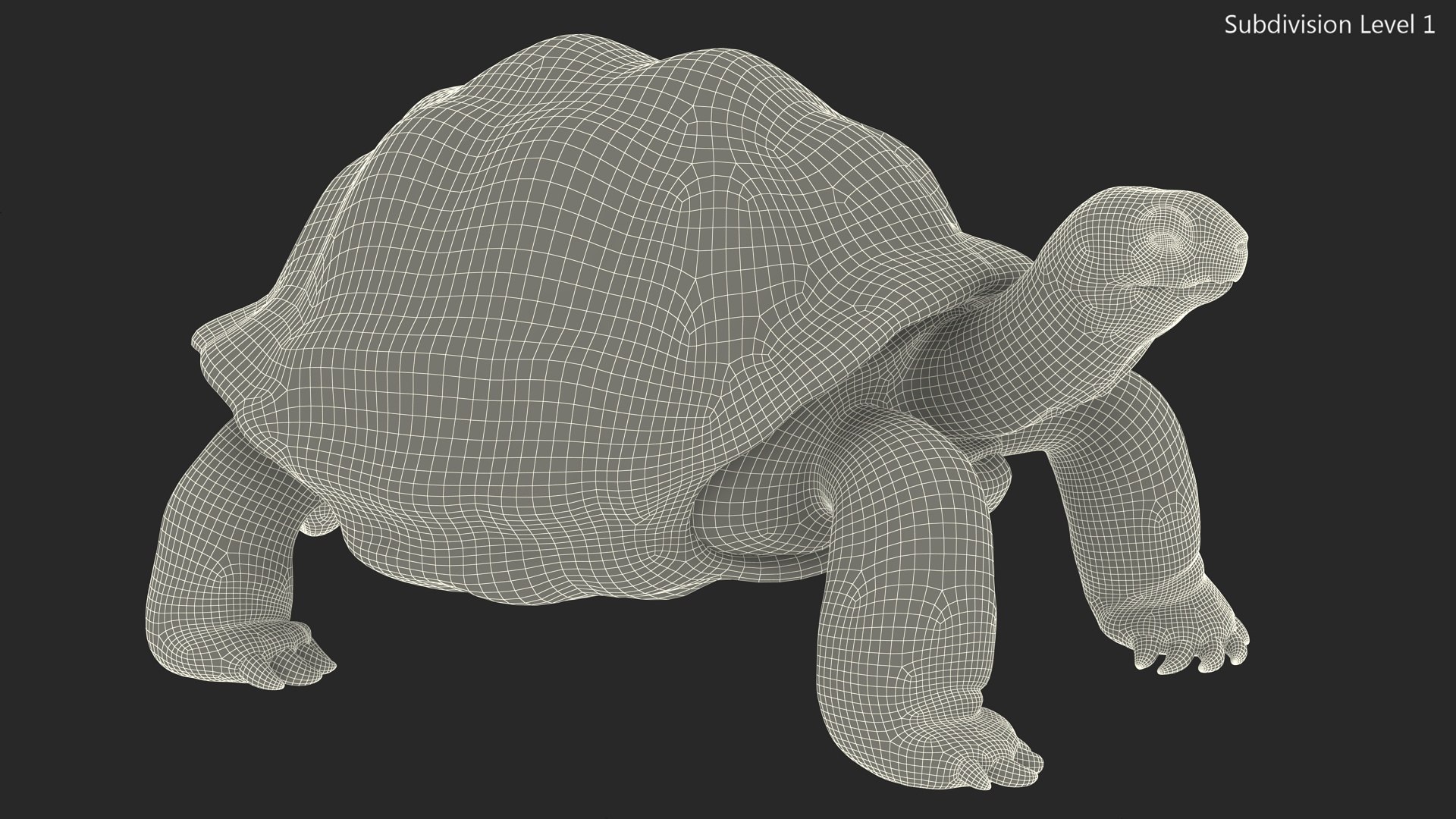 Dirty Old Giant Turtle Stand Pose model https://p.turbosquid.com/ts-thumb/hk/noW5Gx/u3/dirtyoldgiantturtlestandpose3dmodel018/jpg/1692427524/1920x1080/fit_q87/0e9a815ade3d3414e77ddc847bc75bba2b721e7f/dirtyoldgiantturtlestandpose3dmodel018.jpg