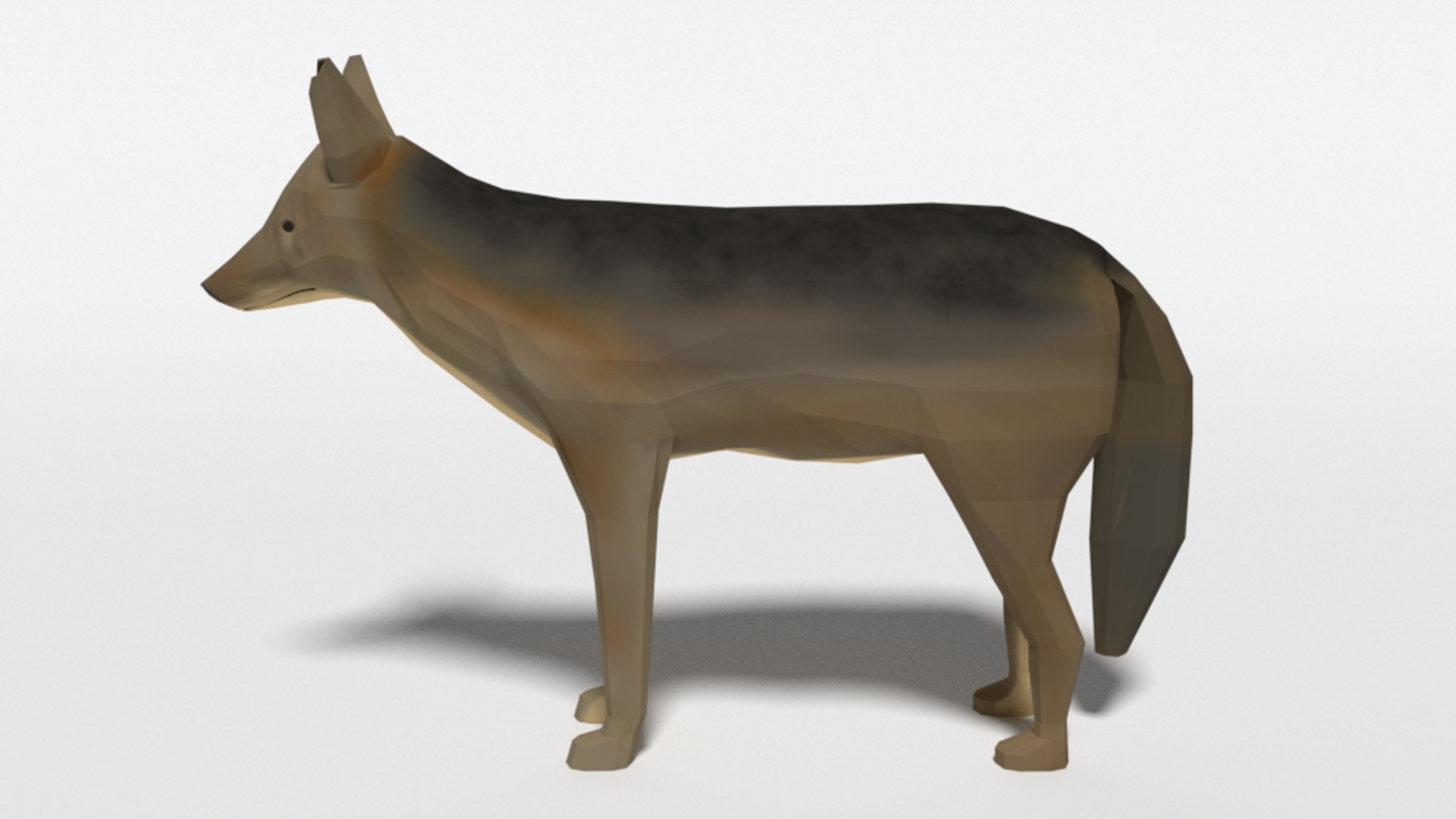 jackal nature 3D model https://p.turbosquid.com/ts-thumb/hl/31qYb7/6gI96hX9/jackal_02/png/1580752390/1920x1080/fit_q87/553d54886ad703b7be706bd484201f03c898a0c1/jackal_02.jpg