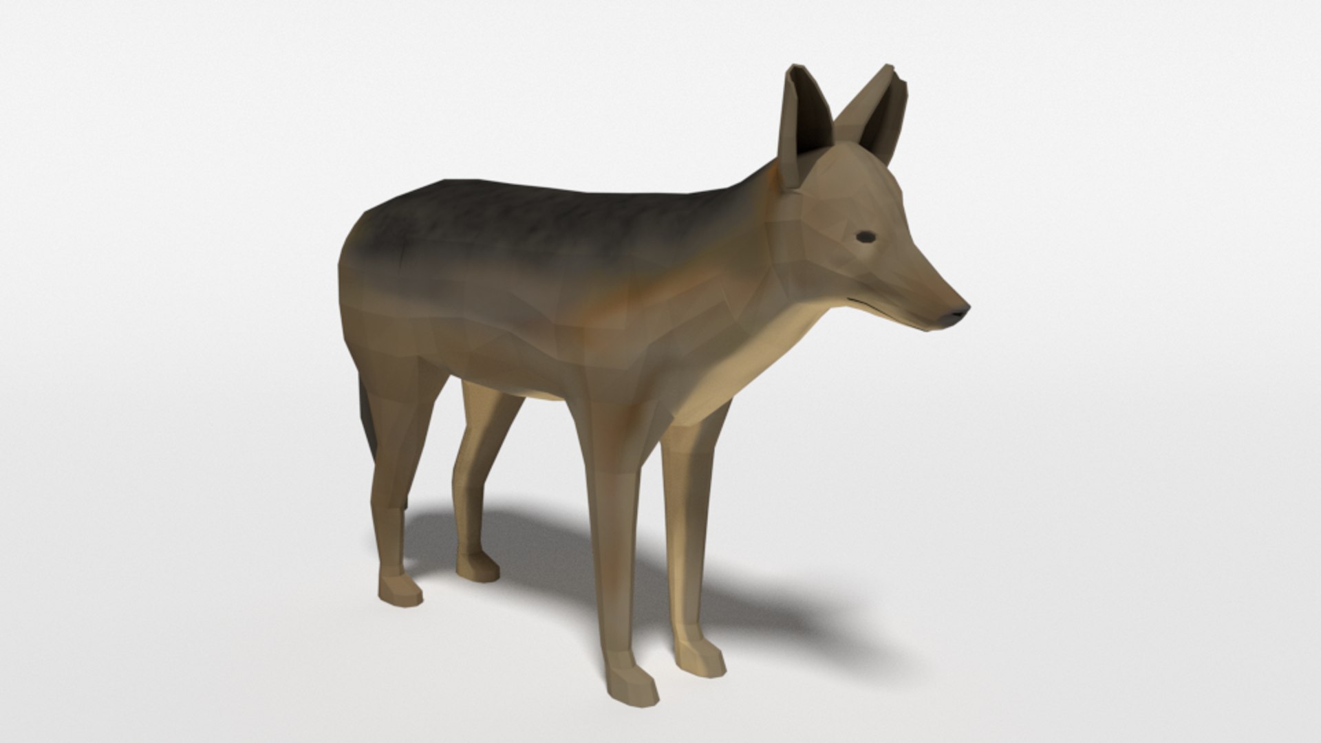 jackal nature 3D model https://p.turbosquid.com/ts-thumb/hl/31qYb7/W0DJVCGA/jackal_07/png/1580752390/1920x1080/fit_q87/6fe4016c4cee9f84fdab9905befb812412ffc88c/jackal_07.jpg