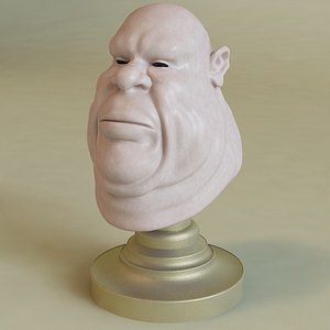 fat male head 3d model