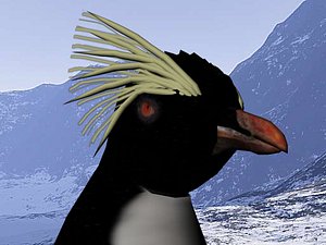3d model rock hopper penguin