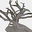 3d tree trunk ficus scanned