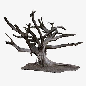 Ficus Tree 16k 30k Texture RAW 3D Scan 