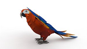 Cartoon parrot 3D model