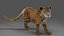 Fur Jaguar V2 Rigged  Animation in Blender - Unity