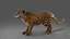 Fur Jaguar V2 Rigged  Animation in Blender - Unity
