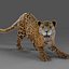 Fur Jaguar V2 Rigged  Animation in Blender - Unity
