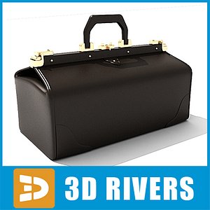 doctor suitcase bags 3d 3ds