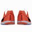 Nike Zoom Streak LT 3
