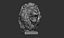 Busto di leone