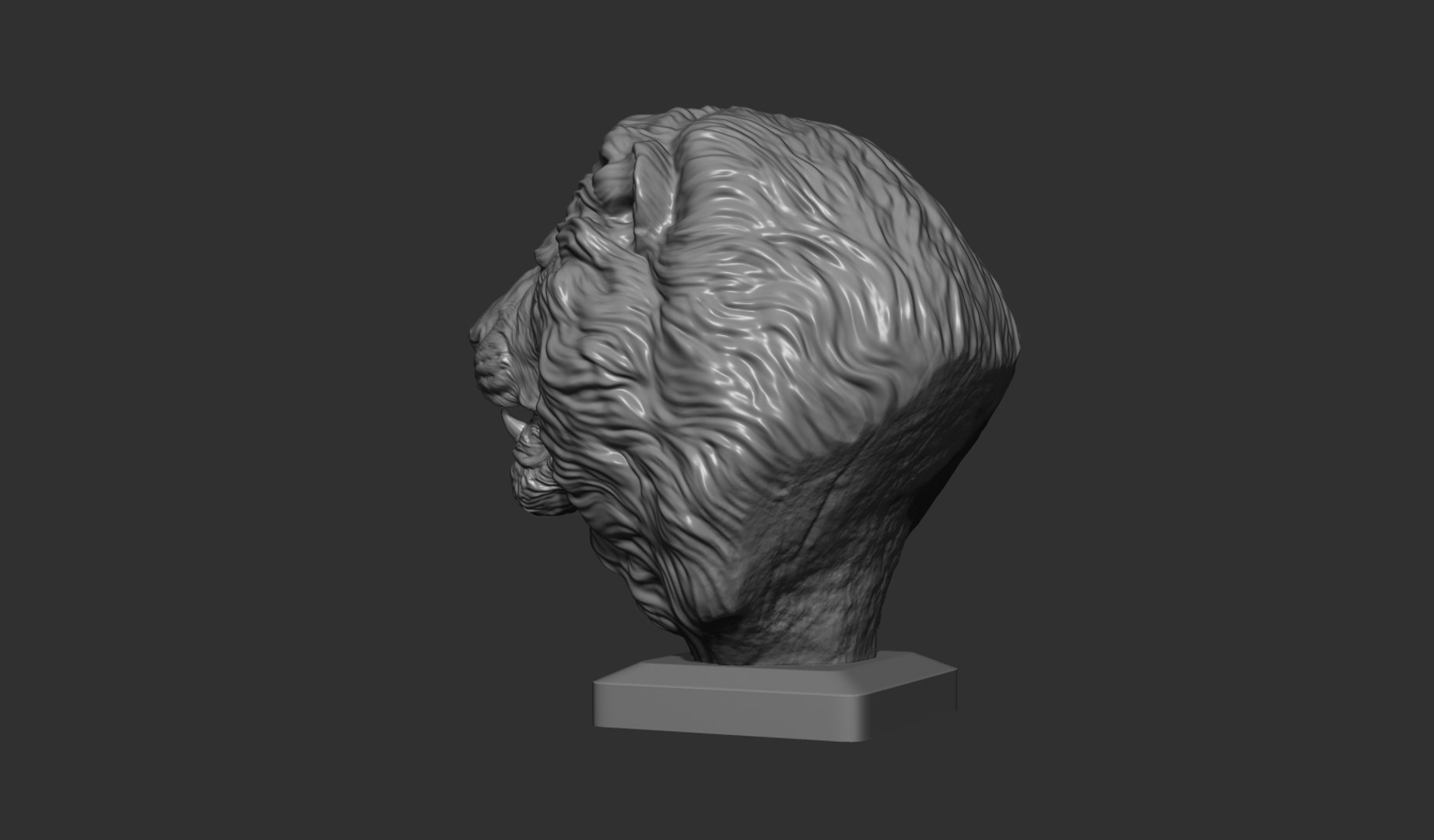3D Lion bust https://p.turbosquid.com/ts-thumb/hm/29W1se/e0/4/jpg/1640961932/1920x1080/fit_q87/debde294112a1ae9dc89e6baf0cd9315ae0e1663/4.jpg
