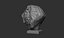 Busto di leone