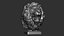 Busto di leone