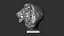 Busto di leone