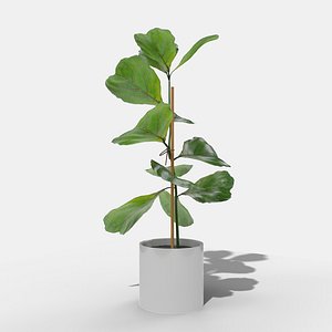 green plant 3D model