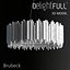 DELIGHTFULL Brubeck
