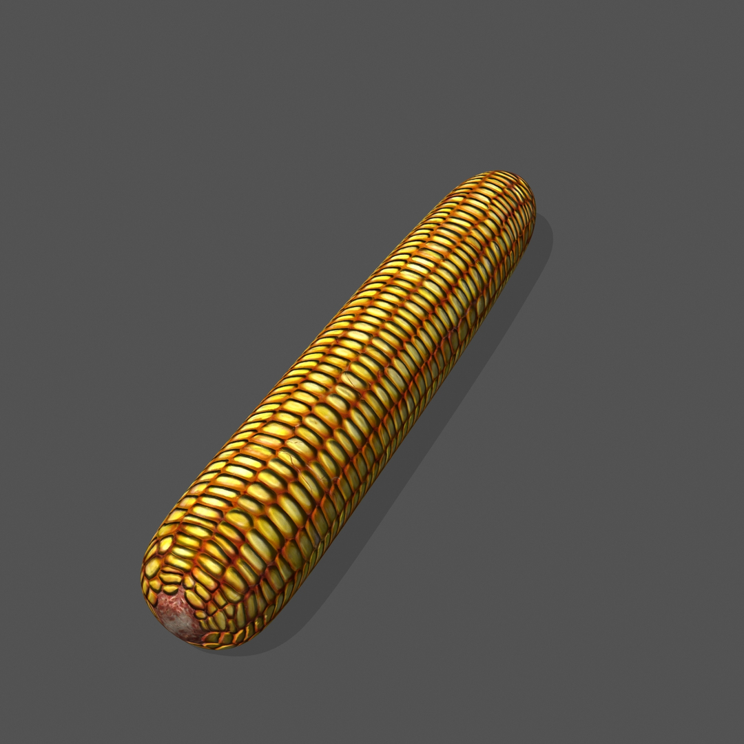 3d Indian Corn Model