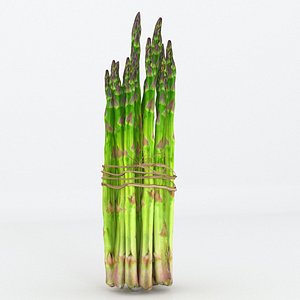 3D asparagus model