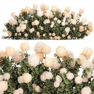 3D model bushes white hydrangea with flowers for the garden 1475
