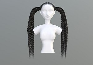Pigtails Braids Hairstyle 3D model