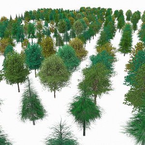 Forest Low Poly