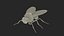 Vinegar Fly Black Rigged for Maya