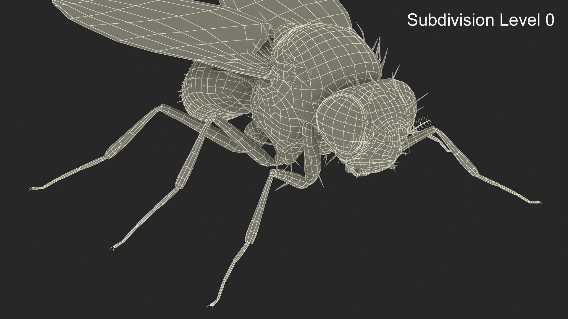 Vinegar Fly Black Rigged for Maya 3D model https://p.turbosquid.com/ts-thumb/hn/5PaDjK/dF/vinegar_fly_black_rigged_016/jpg/1748937450/1920x1080/fit_q87/36cc4df004e196d2b4af9b2ddfaa3ec21b69abb4/vinegar_fly_black_rigged_016.jpg