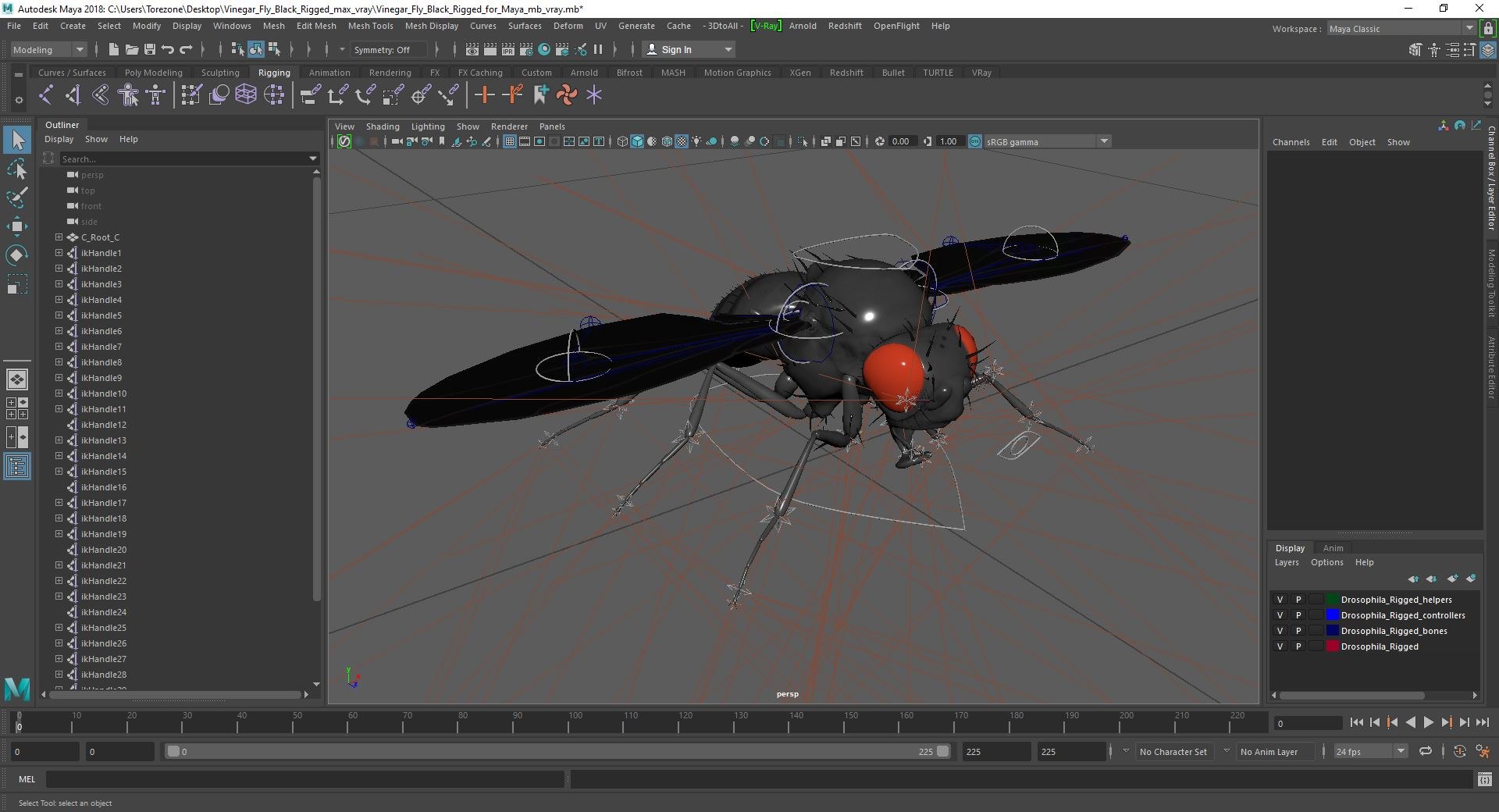 Vinegar Fly Black Rigged for Maya 3D model https://p.turbosquid.com/ts-thumb/hn/5PaDjK/wU/vinegar_fly_black_rigged_for_maya_002/jpg/1748937454/1920x1080/fit_q87/0310cf9d4d3f0402e8f3c954982ad4170e6c392c/vinegar_fly_black_rigged_for_maya_002.jpg