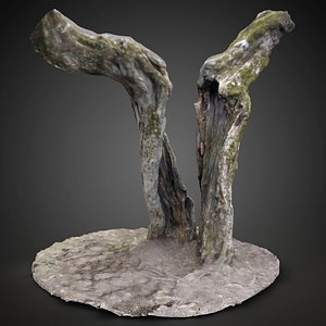 Tree 01