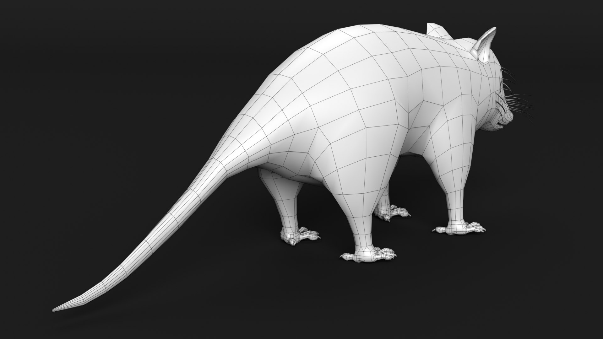 opossum possum 3D https://p.turbosquid.com/ts-thumb/hn/DNOAvw/89/opossum_thumbnail_wireframe2/png/1606242622/1920x1080/fit_q87/db5711908bffe2cd82e8e464b136b0771ab57149/opossum_thumbnail_wireframe2.jpg