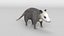 Opossum