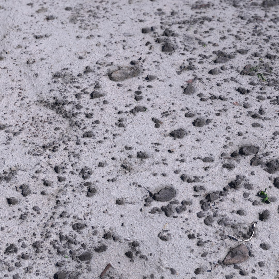 3D tiled scanned sand bits model https://p.turbosquid.com/ts-thumb/hn/LE58x0/42WPsV6Q/sand_with_gr_b_00/jpg/1550683527/1920x1080/fit_q87/6f811ec0fea62ddecd4c5ed0b234c775e9f71556/sand_with_gr_b_00.jpg